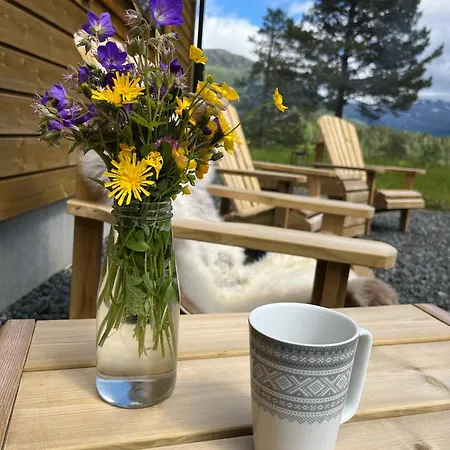 Dom wakacyjny Flott Og Moderne Fjellhytte *