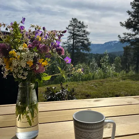 Flott Og Moderne Fjellhytte Dom wakacyjny *