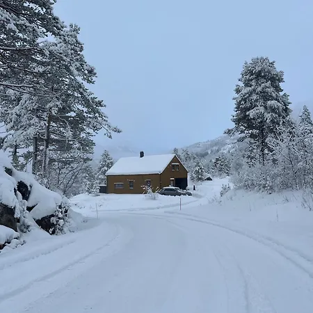 Flott Og Moderne Fjellhytte Utsikten